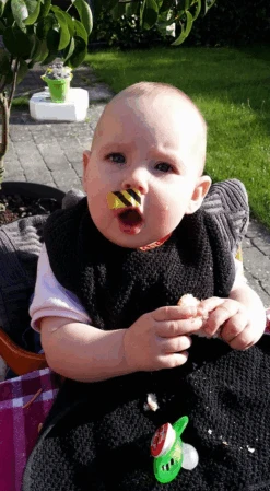 Bee-Patch -Camping En Plein Air anti venin guepes abeilles frelon bourdon beepatch