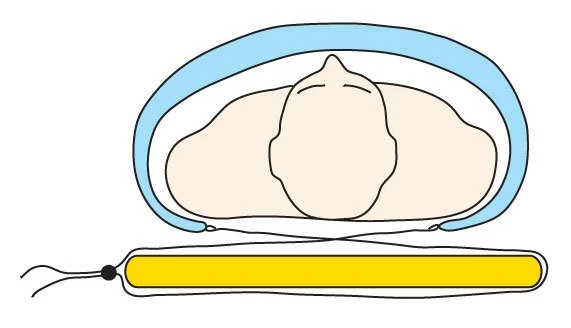 Cumulus Quilt 250 8 Cumulus Quilt 250 – Image 6