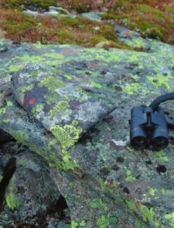 Jerven Fjellduken Hunter -Camping En Plein Air jervenbag hunter montain