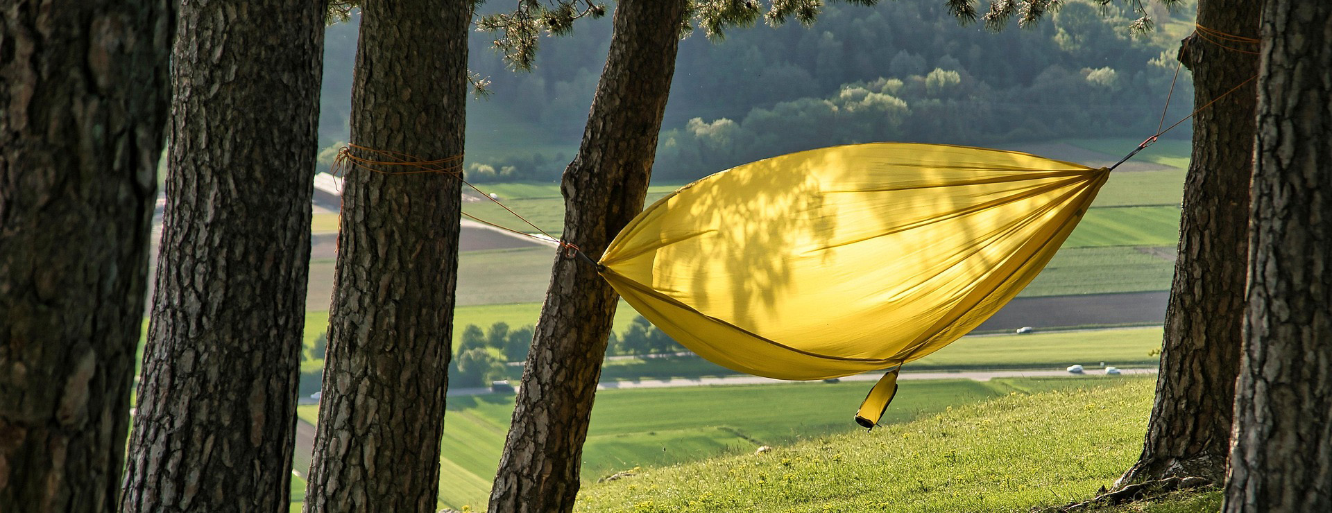 Camping En Plein Air -Camping En Plein Air forest 7321142 1920